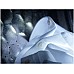 Miele WED174WPS voorlader wasmachine
