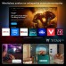 Philips 75PUS9000-12 QLED televisie