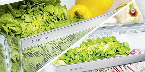 Verschillen Liebherr BioCool en BioFresh